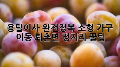 용달이사 완전정복🚚 소형 가구 이동, 퇴촌면 정지리 꿀팁🍯