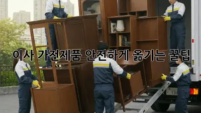 이사, 가전제품 안전하게 옮기는 꿀팁!